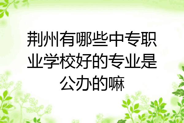 荆州有哪些中专职业学校好的专业是公办的嘛