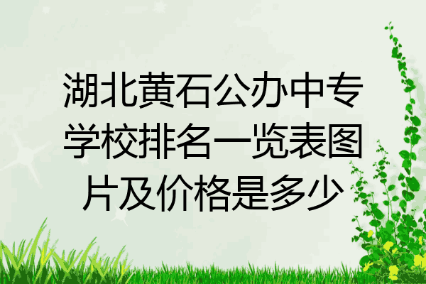 湖北黄石公办中专学校排名一览表图片及价格是多少