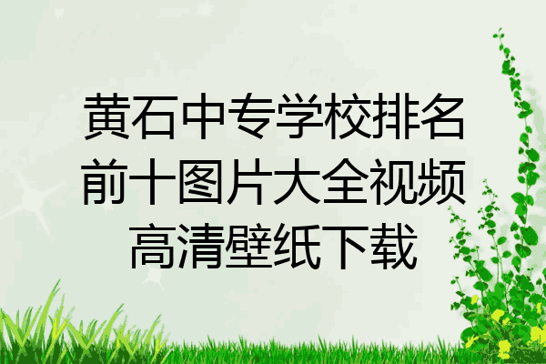 黄石中专学校排名前十图片大全视频高清壁纸下载