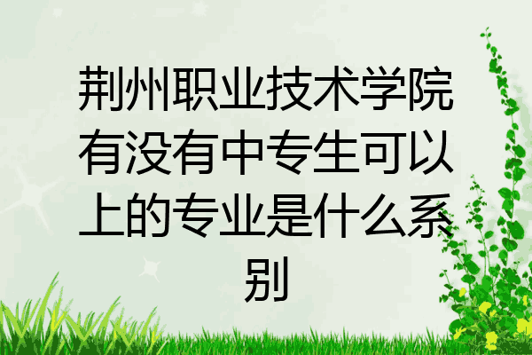 荆州职业技术学院有没有中专生可以上的专业是什么系别