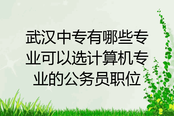 武汉中专有哪些专业可以选计算机专业的公务员职位