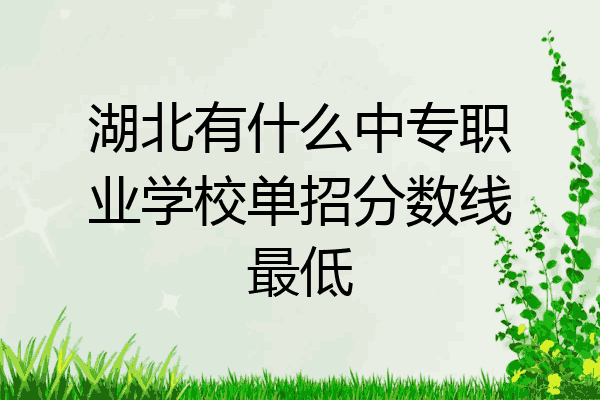湖北有什么中专职业学校单招分数线最低