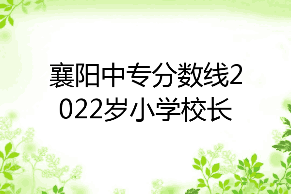 襄阳中专分数线2022岁小学校长