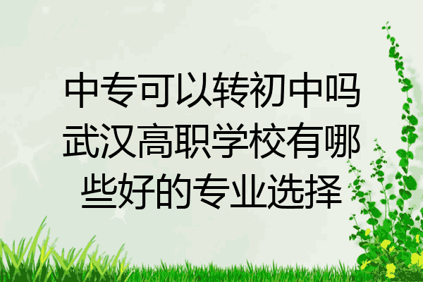 中专可以转初中吗武汉高职学校有哪些好的专业选择