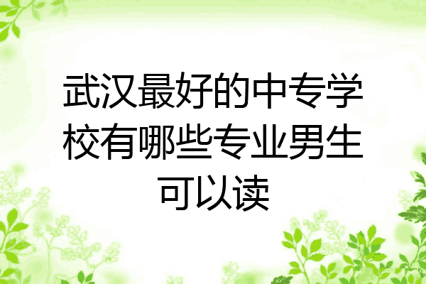 武汉最好的中专学校有哪些专业男生可以读