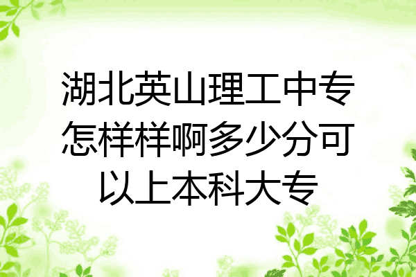 湖北英山理工中专怎样样啊多少分可以上本科大专