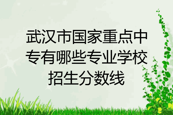 武汉市国家重点中专有哪些专业学校招生分数线