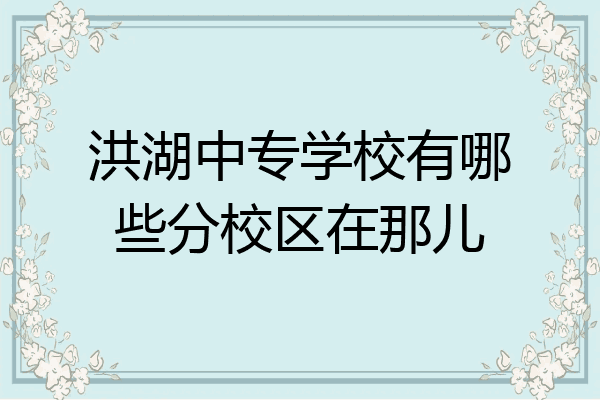 洪湖中专学校有哪些分校区在那儿