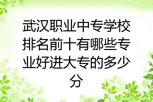 武汉职业中专学校排名前十有哪些专业好进大专的多少分