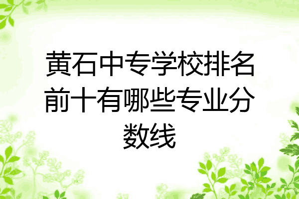 黄石中专学校排名前十有哪些专业分数线