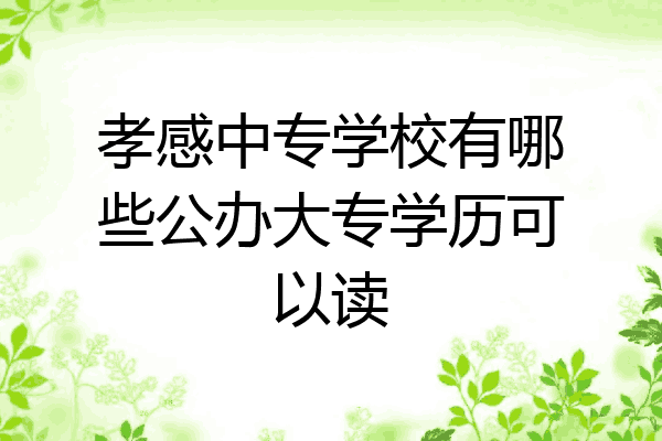 孝感中专学校有哪些公办大专学历可以读