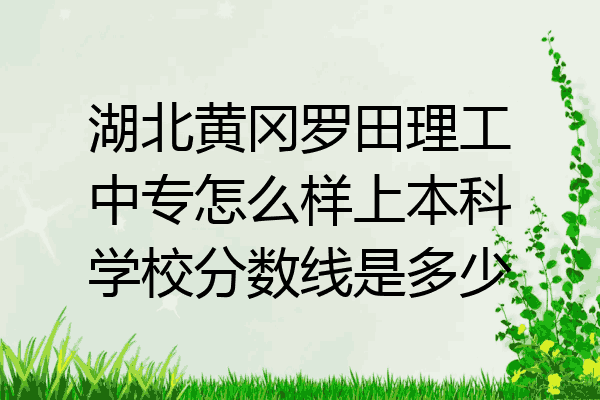 湖北黄冈罗田理工中专怎么样上本科学校分数线是多少