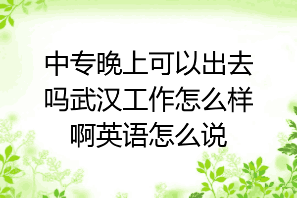 中专晚上可以出去吗武汉工作怎么样啊英语怎么说