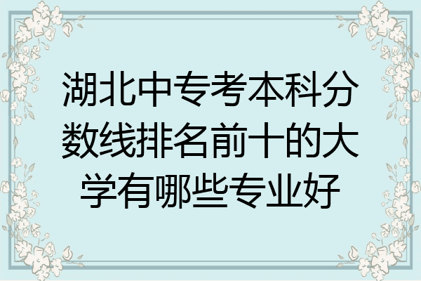 湖北中专考本科分数线排名前十的大学有哪些专业好