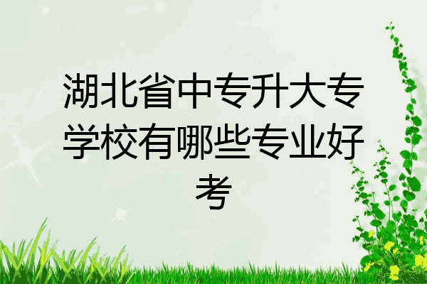 湖北省中专升大专学校有哪些专业好考