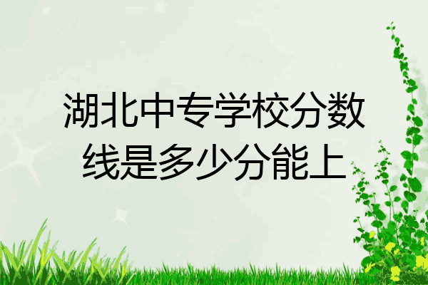 湖北中专学校分数线是多少分能上