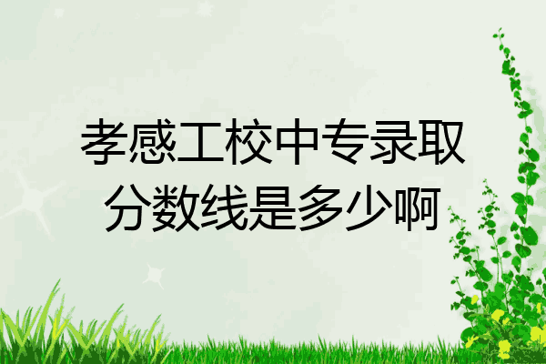孝感工校中专录取分数线是多少啊