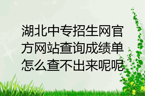 湖北中专招生网官方网站查询成绩单怎么查不出来呢呢