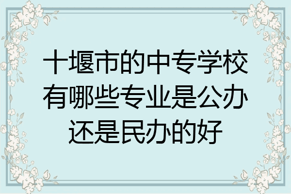 十堰市的中专学校有哪些专业是公办还是民办的好