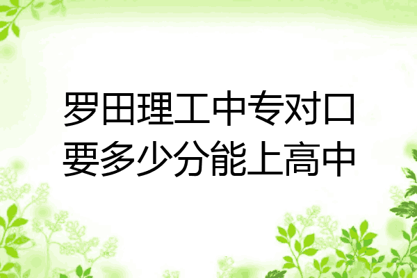 罗田理工中专对口要多少分能上高中