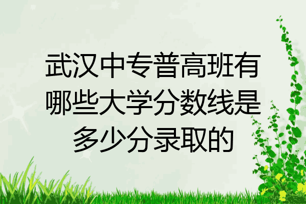 武汉中专普高班有哪些大学分数线是多少分录取的