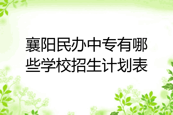 襄阳民办中专有哪些学校招生计划表
