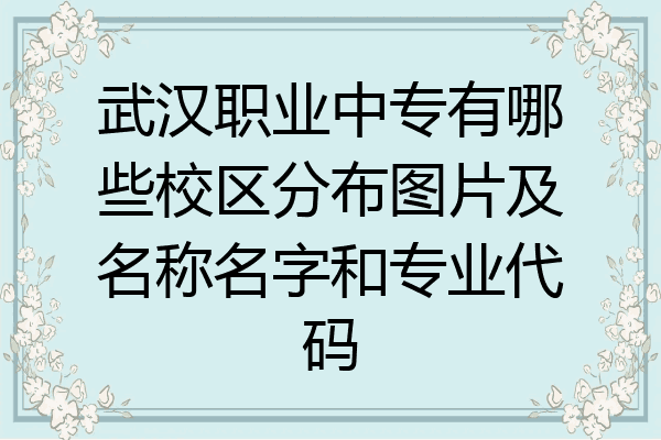 武汉职业中专有哪些校区分布图片及名称名字和专业代码