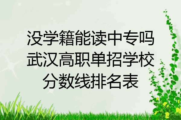 没学籍能读中专吗武汉高职单招学校分数线排名表