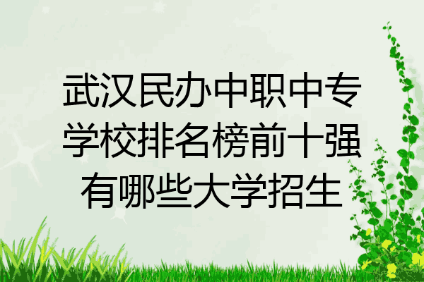武汉民办中职中专学校排名榜前十强有哪些大学招生