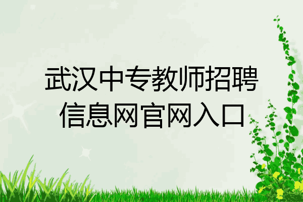 武汉中专教师招聘信息网官网入口