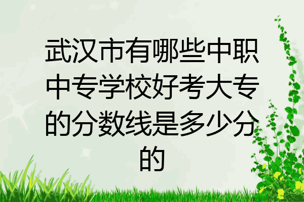 武汉市有哪些中职中专学校好考大专的分数线是多少分的