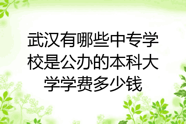 武汉有哪些中专学校是公办的本科大学学费多少钱