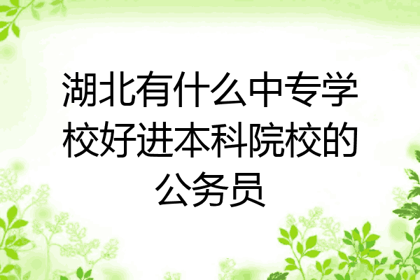 湖北有什么中专学校好进本科院校的公务员