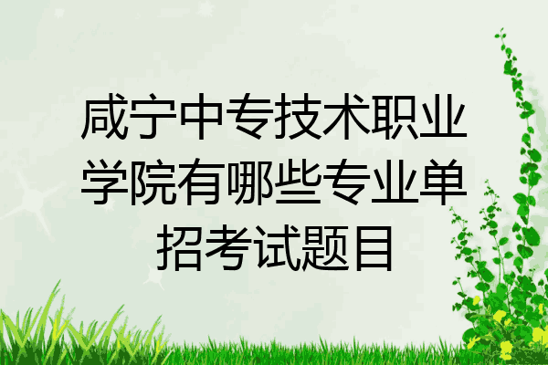 咸宁中专技术职业学院有哪些专业单招考试题目