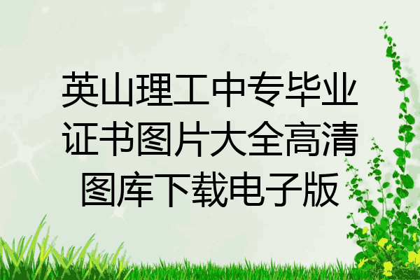 英山理工中专毕业证书图片大全高清图库下载电子版