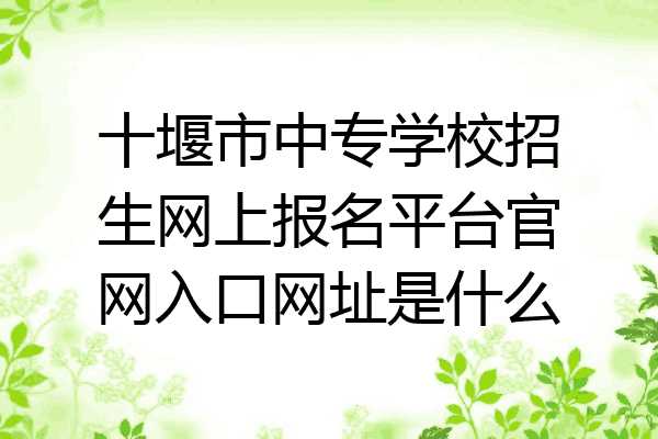 十堰市中专学校招生网上报名平台官网入口网址是什么