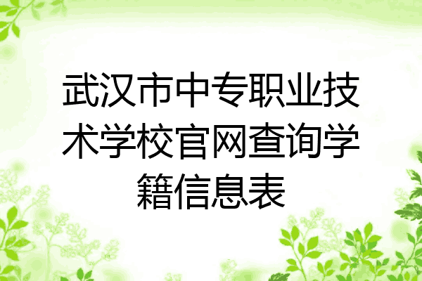 武汉市中专职业技术学校官网查询学籍信息表