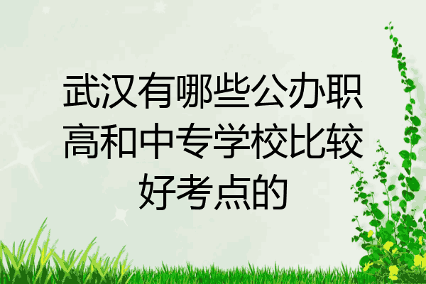 武汉有哪些公办职高和中专学校比较好考点的