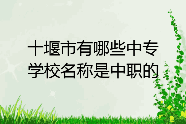 十堰市有哪些中专学校名称是中职的