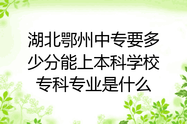 湖北鄂州中专要多少分能上本科学校专科专业是什么