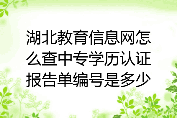 湖北教育信息网怎么查中专学历认证报告单编号是多少