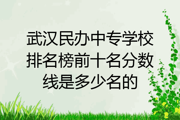 武汉民办中专学校排名榜前十名分数线是多少名的