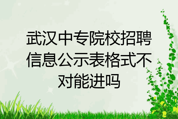 武汉中专院校招聘信息公示表格式不对能进吗