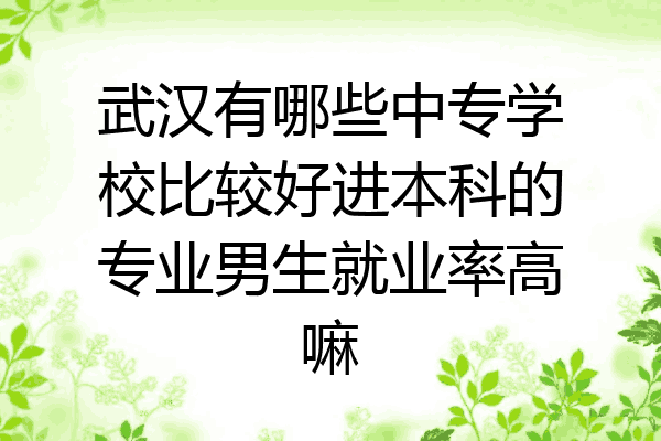 武汉有哪些中专学校比较好进本科的专业男生就业率高嘛