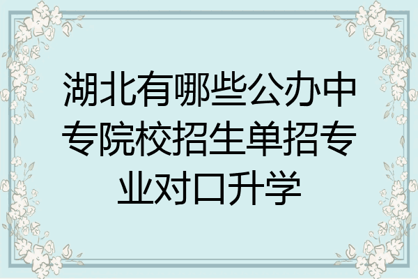 湖北有哪些公办中专院校招生单招专业对口升学