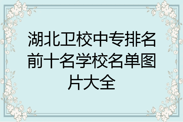 湖北卫校中专排名前十名学校名单图片大全