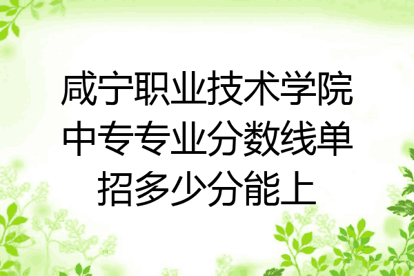 咸宁职业技术学院中专专业分数线单招多少分能上