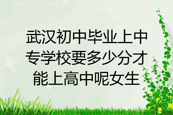武汉初中毕业上中专学校要多少分才能上高中呢女生