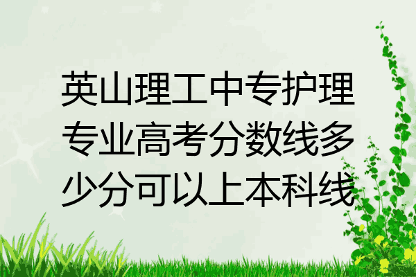 英山理工中专护理专业高考分数线多少分可以上本科线