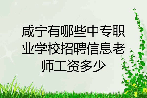 咸宁有哪些中专职业学校招聘信息老师工资多少